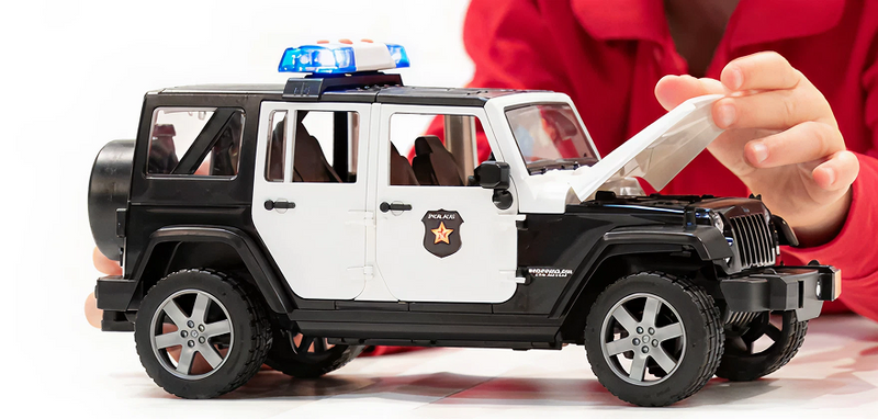 A Perfect Gift for Any Child